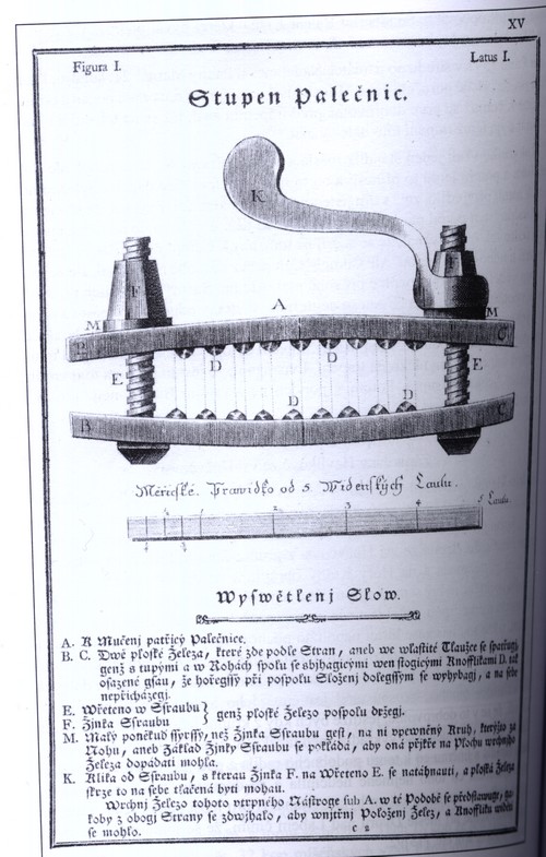 Constitutio Criminalis Theresiana - palenice