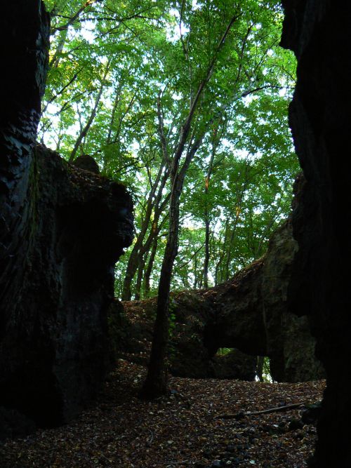 Bval lom na vrchu Ddek