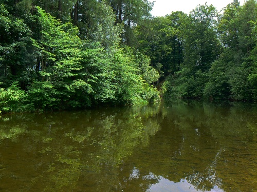 Zrcadlc se hladina v ztoin Labe