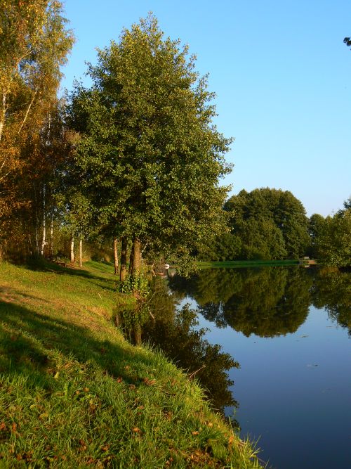 Stromy na bezch Rapprichu