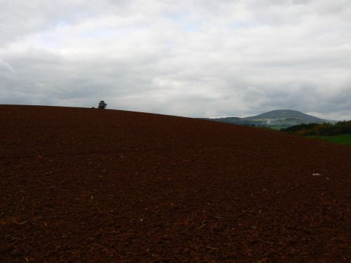 Podkrkonosk pozad Windows XP v zamraenm dni nejkrsnjho podzimu