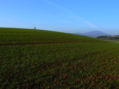 Listopadov pozad Windows XP