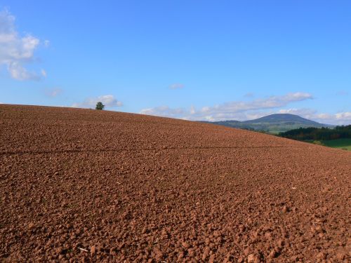 Pozad Windows XP v krsnm dni podzimu