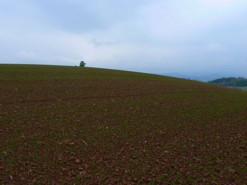 Oblan pozad Windows XP