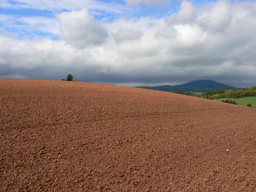Pozad Windows XP v nejkrsnjm podzimu