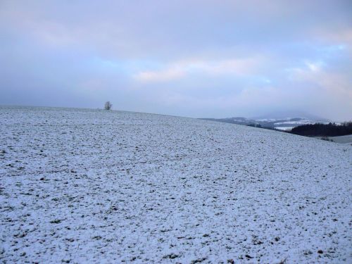 Pozad Windows XP, pokryt prvnm snhem