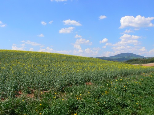 Pozad Windows XP z Podkrkono