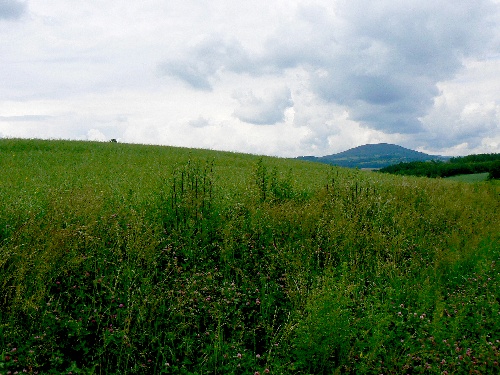 Kdy je ve Windows XP zamraeno