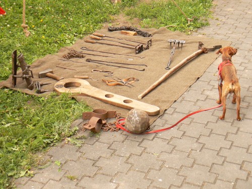 Housliky a jin vybaven kata Pawouka