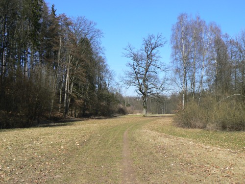 Cesta kolem dubu v roce 2010