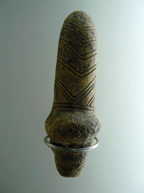 Penis lovc mamut v muzeu v Dolnch Vstonicch