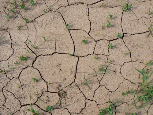 Zem, zbrzdn prasklinami