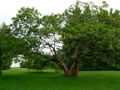 park u zmku v Loueni