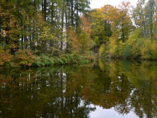 ztoina Labe v nejkrsnjm podzimu