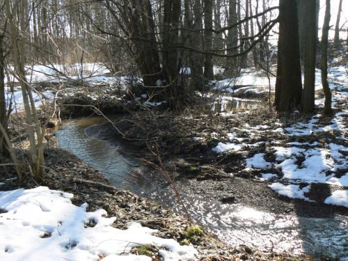 Dal meandry Principlku