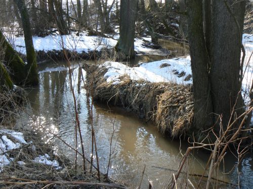 Jet dal meandry Principlku