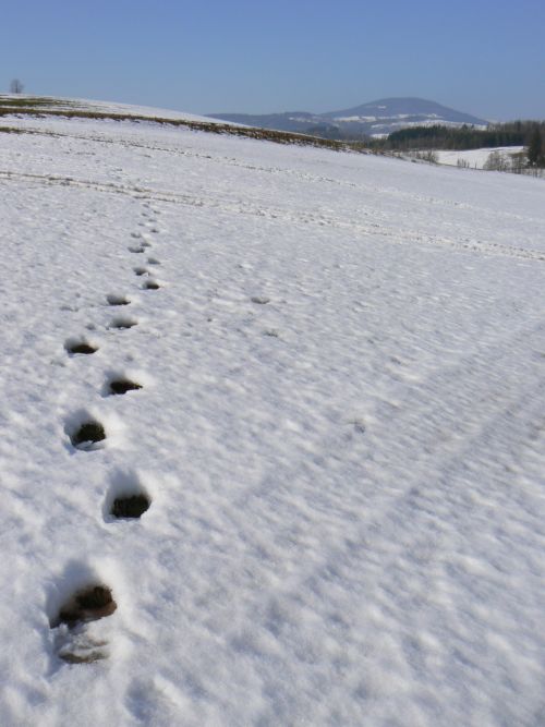 Moje cesta za pozadm Windows XP