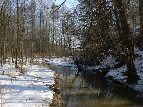 Soutok Principlku a Labe