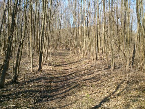 Les u soutoku Labe a Principlku