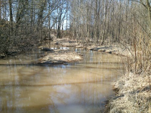 Principlek ped soutokem s Labem