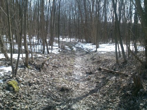 Cesta k soutoku Labe a potoka Principlku