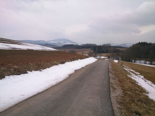 Silnika pes dol k poli