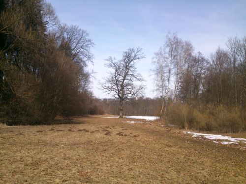 Jaro se zimou na pli cesty