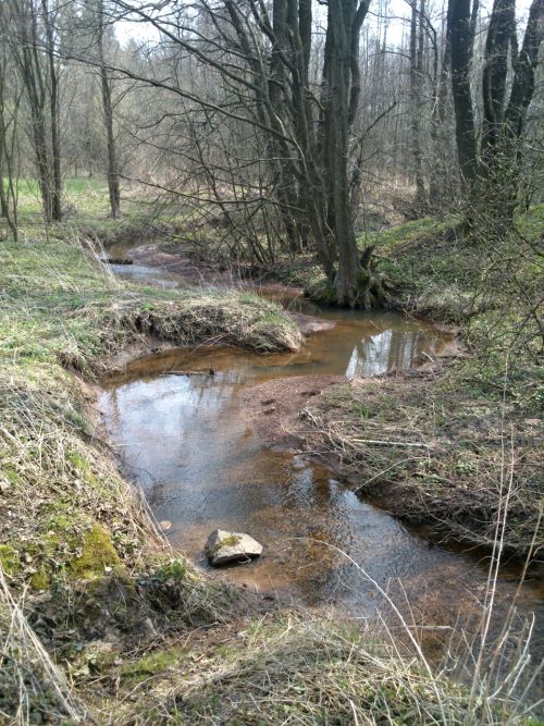 Meandry potoka Principlku kousek pes soutokem s Labem