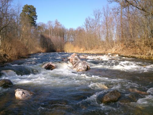 Peej Labe blzko dubu