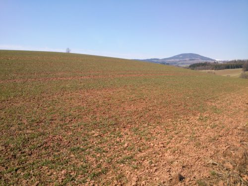 Konen jarn pozad Windows XP