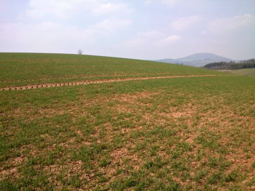 Pozad Windows XP ve napl zataenm dni