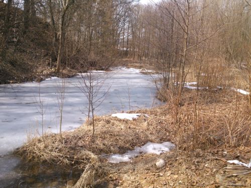 Zamrzl potok Principlek