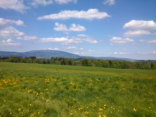 ern hora, Rchory a hadlo