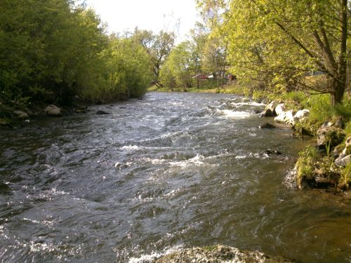 Labe na dolnm konci Kunic nad Labem