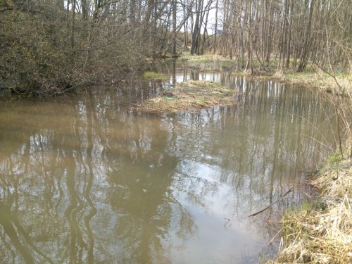 Ostrvek uprosted Principlku