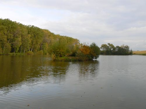 Ostrov poklad v rybnce u letit