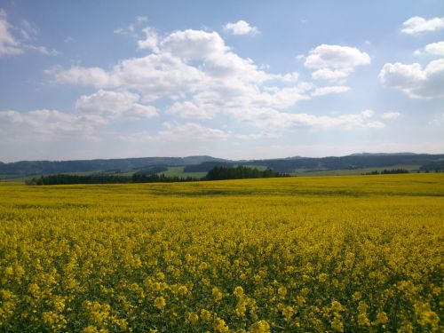 Odleva isteck hra, Varta, Kozinec, v poped les ern hj.