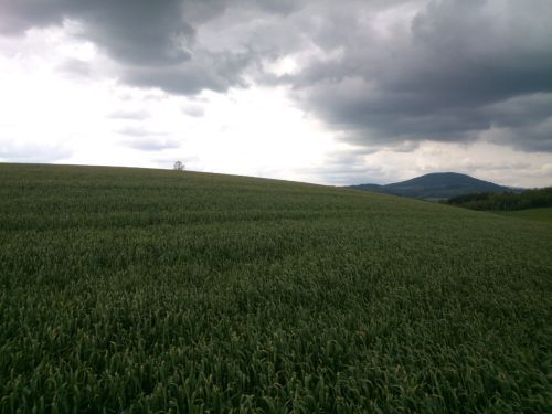 Zamraen pozad Windows XP