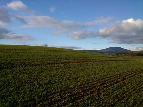 Pozad Windows XP na svatho Martina