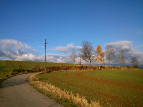 Silnika, co kon za dolm Principlku u pole