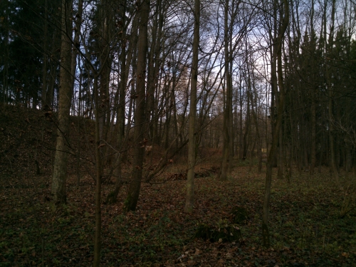 Les u Burkittsville. Kdepak, takhle to tam nevypadalo.