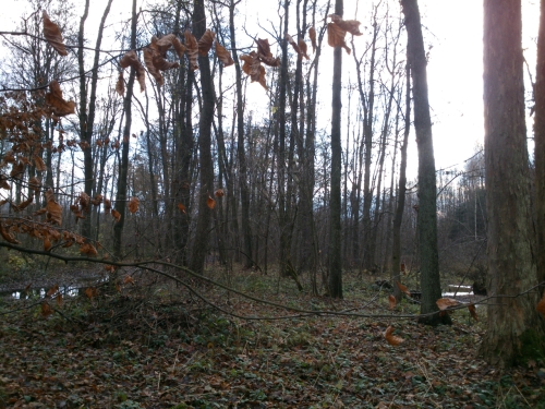 Tohle u je lep, ale pece jen...