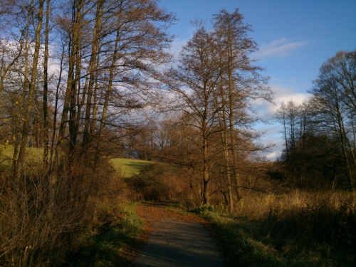 Medov odstny hnd v dol Principlku