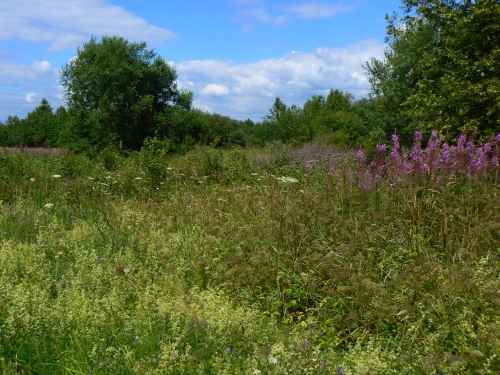 Tady stla lebna hrzy z filmu Requiem pro panenku