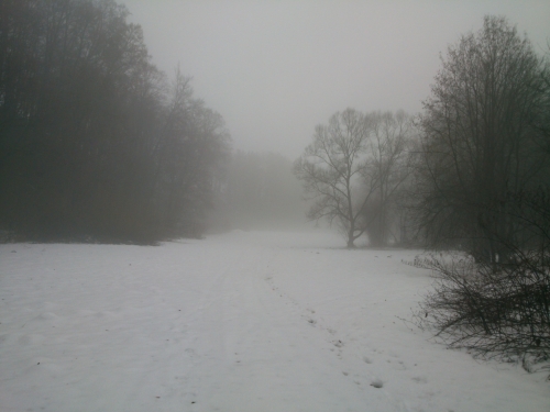 Csask louka alias U salae alias V rji alias U dubu