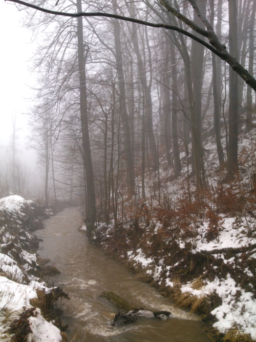 Potok Sovinka blzko soutoku s Labem