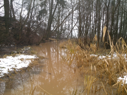 U ostrova uprosted Principlku