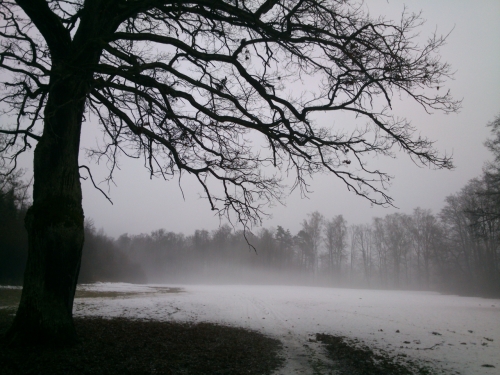 Poetick nlada pod dubem