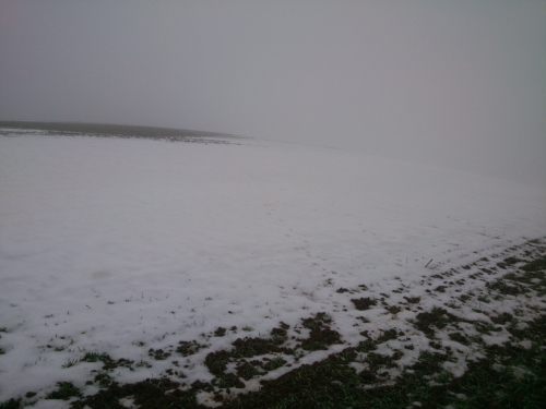 Tenhle obrzek tentokrt pozad Windows XP nepipomn ani dost co mlo.