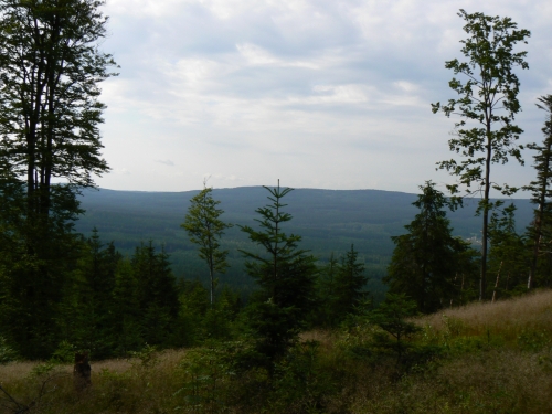 Moe les Vojenskho prostoru Brdy